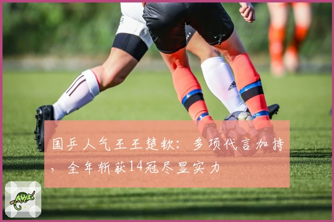 国乒人气王王楚钦：多项代言加持，全年斩获14冠尽显实力